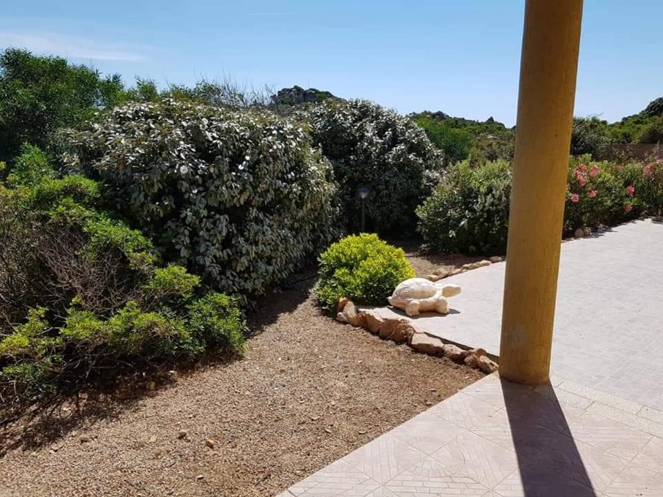 Casa Vacanze Villa Sandrina Costa Paradiso Exterior foto